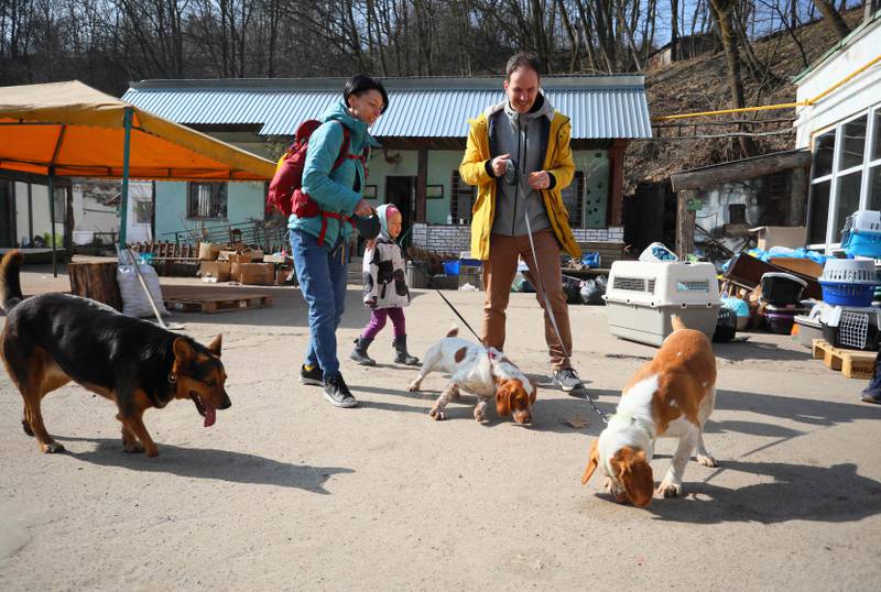 A family visit the shelter to walk the dogs.