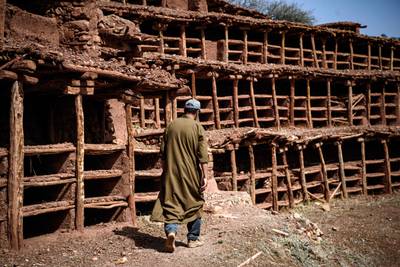 (FILES) In this file photo taken on February 25, 2020, a beekeeper works at the Inzerki Apiary in the village of Inzerki, 82 km north of Agadir, in the Souss-Massa region.  - Morocco's village of Inzerki proudly claims to have the world's oldest and largest collective beehive, but instead of buzzing with springtime activity, the colonies have collapsed amid crippling drought.  (Photo by FADEL SENNA  /  AFP)