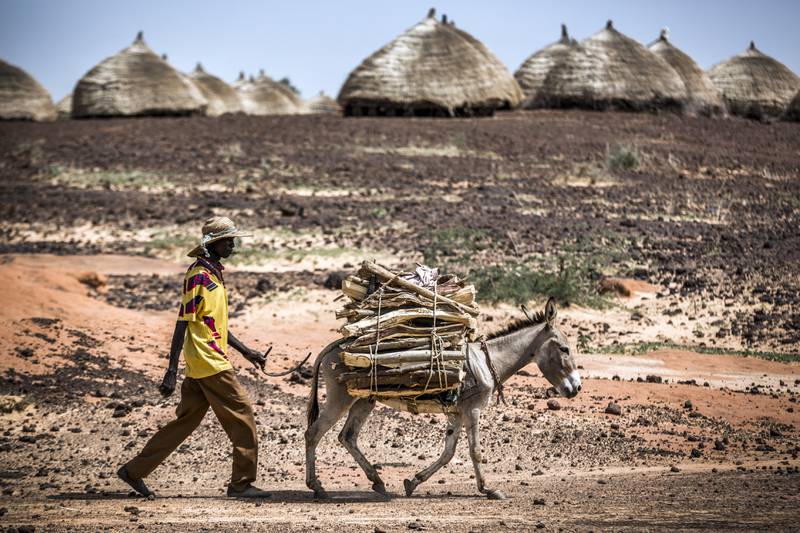 A man and his donkey near Maradi, Niger. Rising temperatures are rendering the inhospitable African Sahel increasingly susceptible to food shortages. AFP
