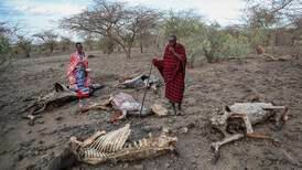 Horn of Africa facing worst drought in more than a decade