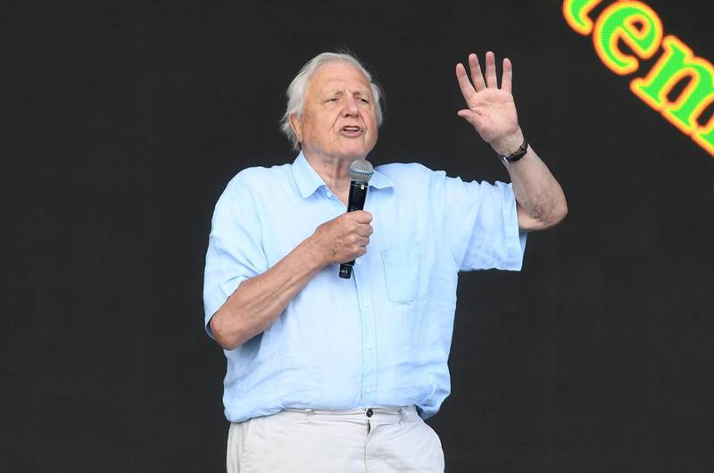 epa07685537 British broadcaster and environmenalist Sir David Attenborough on the Pyramid Stage on day five of the Glastonbury Festival of Contemporary Performing Arts at Worthy Farm in Pilton, Somerset, Britain 30 June 2019. The festival runs from 26 to 30 June  EPA/NEIL HALL
