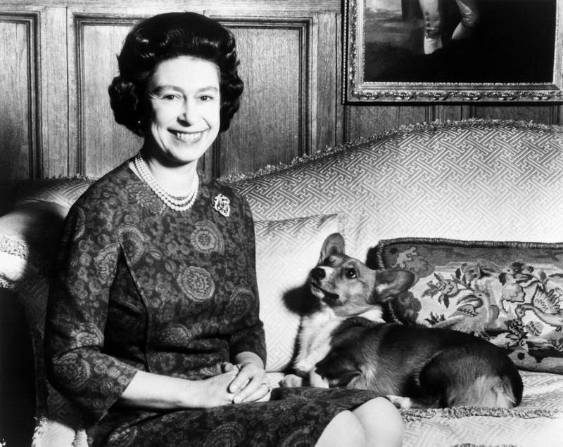 The queen and one of her corgis. AFP