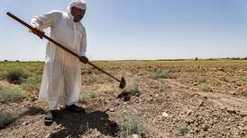 Iraq’s water crisis leaves farming families reliant on food aid, NGO warns