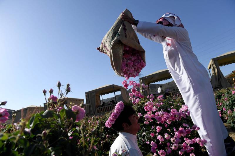 The Taif rose is a prized component in the cosmetic, culinary and other industries, becoming synonymous with the city itself. AFP