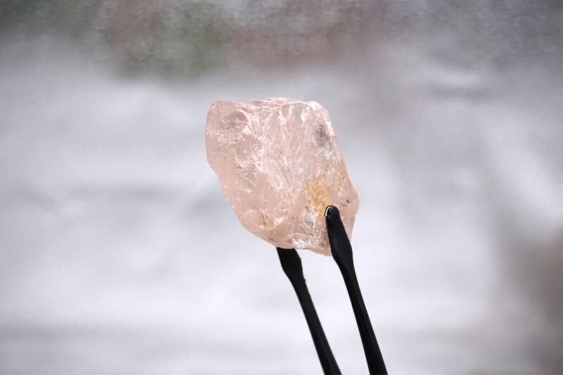A 170 carat pink diamond - nicknamed The Lulo Rose – has been mined in north-eastern Angola. AFP