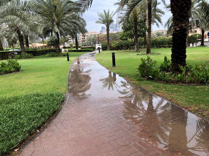 Wet weather in The Greens in Dubai this morning. Rory Reynolds/The National