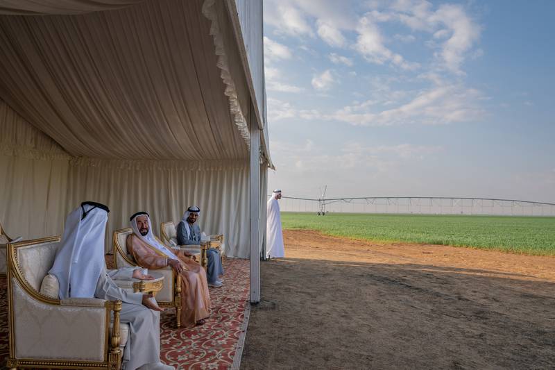 Sheikh Dr Sultan bin Muhammad Al Qasimi, Ruler of Sharjah, visits a wheat farm in Mleiha on Sunday. All photos: Sharjah Government / Wam