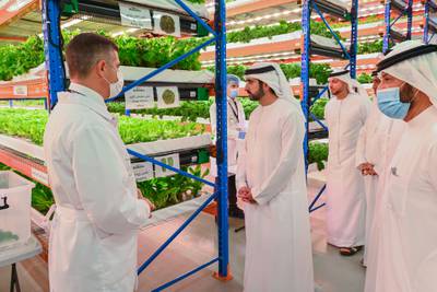 Sheikh Hamdan bin Mohammed, Crown Prince of Dubai, tours the Bustanica vertical farm in Dubai. All photos: Dubai Media Office