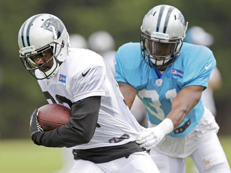 Jerricho Cotchery, left, has been brought in by the Carolina Panthers to not just replace veteran Steve Smith but also to mentor their young group of wide receivers. Chuck Burton / AP Photo