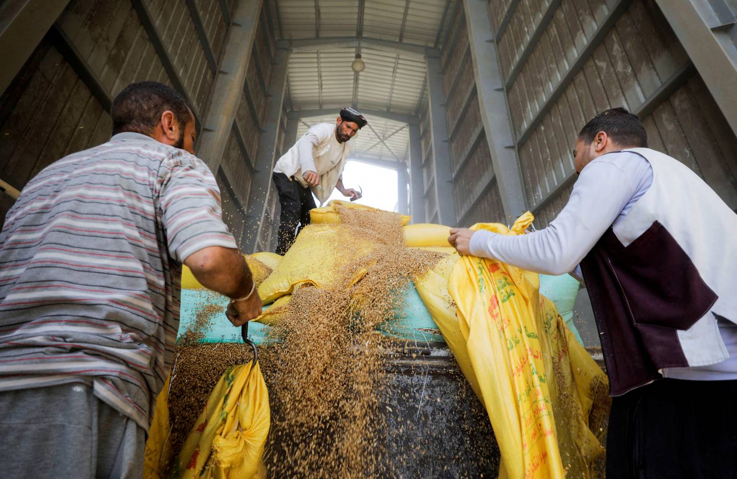 Workers collect wheat at the Benha grain silos, in Al Qalyubia governorate, Egypt. Reuters