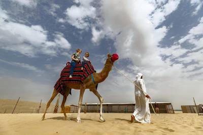 Dubai, United Arab Emirates - January 19, 2019: Images of a new tourist attraction in Dubai called The Camel Farm. Saturday, January 19th, 2019. E77, Dubai. Chris Whiteoak/The National