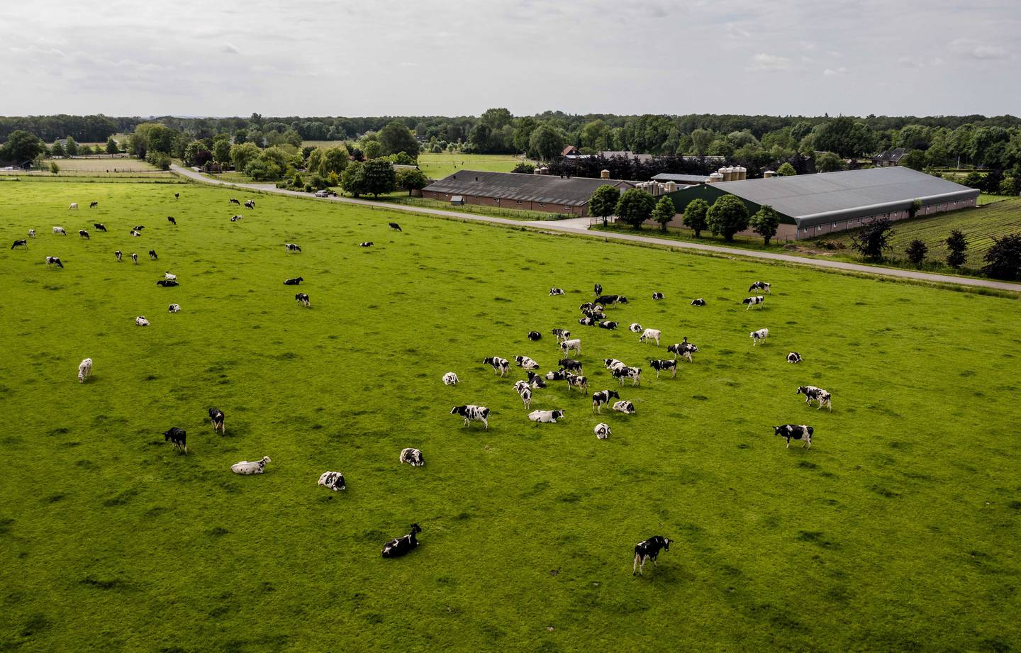 The agriculture industry is responsible for a 10th of greenhouse gas emissions in the UK. EPA