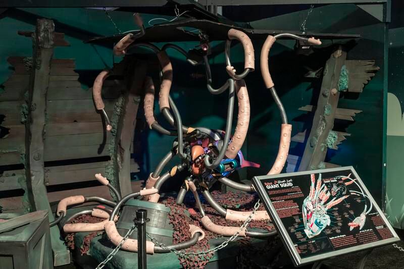 A high-tech experience that merges the natural world with the mechanical, the attraction features large robotic interpretations of animals including chameleons, giraffes and a giant squid (pictured).