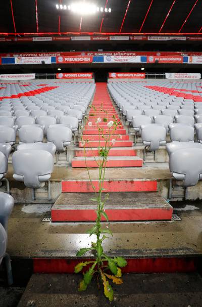 Weed grows in the stands with fans barred from entering the stadium. EPA