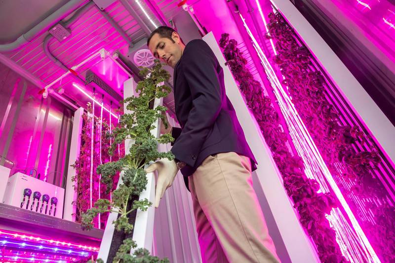ABU DHABI, UNITED ARAB EMIRATES. 10 JANUARY 2019. Masdar Farm smart farming initiative, ahead of Abu Dhabi sustainability week. Kyle Wagner, Head of Operations at Madar Farms shows the inside of the Smart Farming retrofitted shipping container that grows 4 tons of leavy  greens per year. (Photo: Antonie Robertson/The National) Journalist: Nick Webster. Section: National.