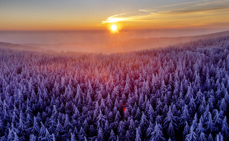 The sun rises over the frozen trees of the Taunus region near Frankfurt. AP
