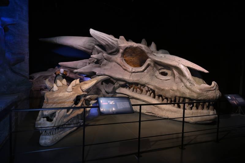The skulls of the Targaryen dragons are among the props on display. Getty Images