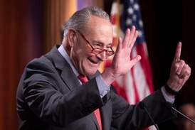 US Senate majority leader celebrates Democrats' expanded majority