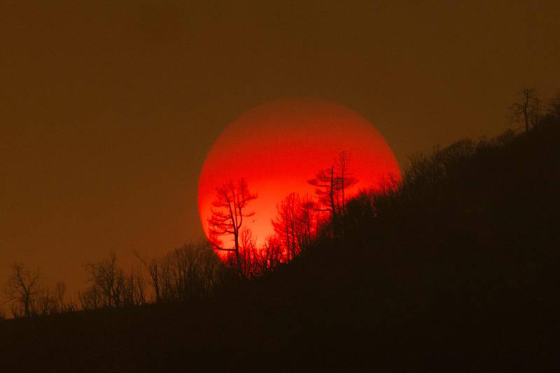Sunset over burnt forest after the Oak Fire near Mariposa, California. More than 2,000 firefighters backed by 17 helicopters were used against the fire, which broke out near Yosemite National Park. AFP