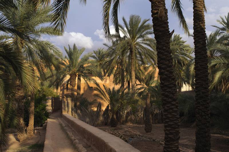 Palm trees dot the landscape in Beni Isguen, Algeria on April 24, 2013. Tourism has been a significant source of income for the oasis towns around Ghardaia, but security concerns have led to a drop in visitor numbers this year. Photo: Lindsay Mackenzie for The National.