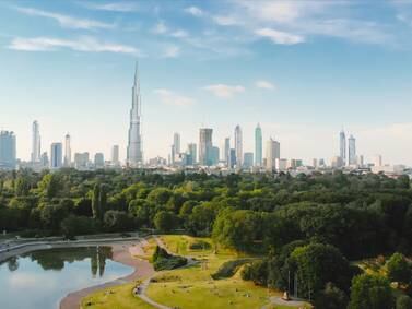 Dubai approves planning law to encourage investment and sustainable development