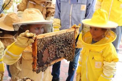 DUBAI, UNITED ARAB EMIRATES , November 7 – 2020 :-Kids holding the frame of live bees during the tour at the Hatta honey bee garden at the Hatta in Dubai. The ticket price of honey bee garden tour is 50 AED per person.  (Pawan Singh / The National) For News/Online/Instagram/Big Picture. Story by Nick Webster