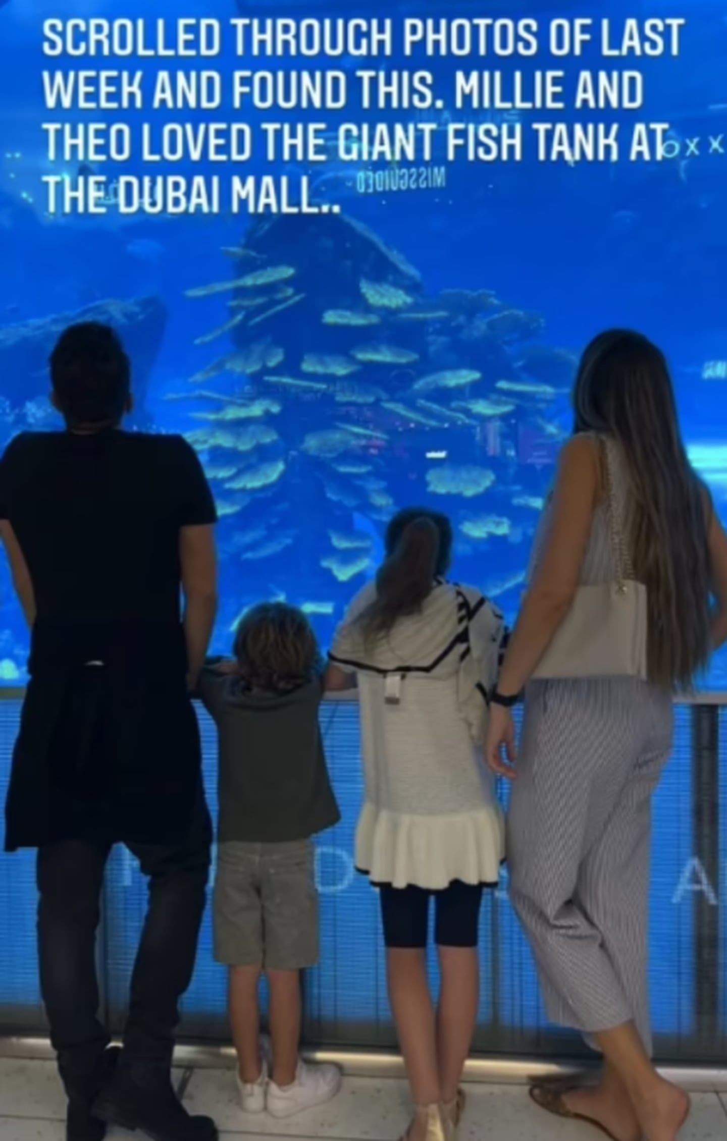 Peter Andre and his family at the Dubai Aquarium at The Dubai Mall. Photo: Instagram / The Dubai Mall
