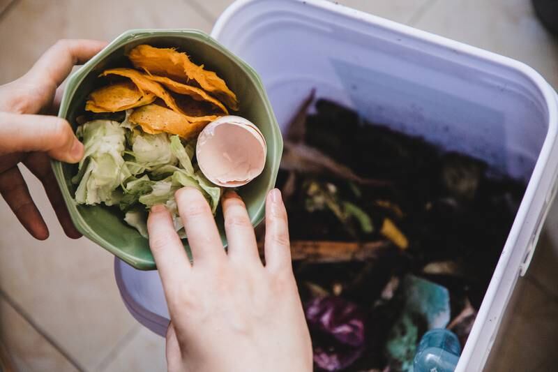Use eggs, peels, tea and coffee to make compost. Getty Images