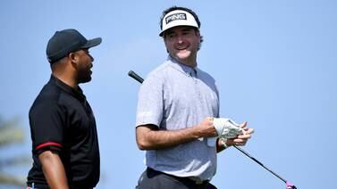 An image that illustrates this article Watson full of admiration for McIlroy's 'big win' in Dubai