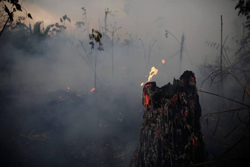 A tree stump glows with fire amid smoke along the road to Jacunda National Forest, near the city of Porto Velho in the Vila Nova Samuel region which is part of Brazil's Amazon, Monday, Aug. 26, 2019. The Group of Seven nations on Monday pledged tens of millions of dollars to help Amazon countries fight raging wildfires, even as Brazilian President Jair Bolsonaro accused rich countries of treating the region like a "colony." (AP Photo/Eraldo Peres)