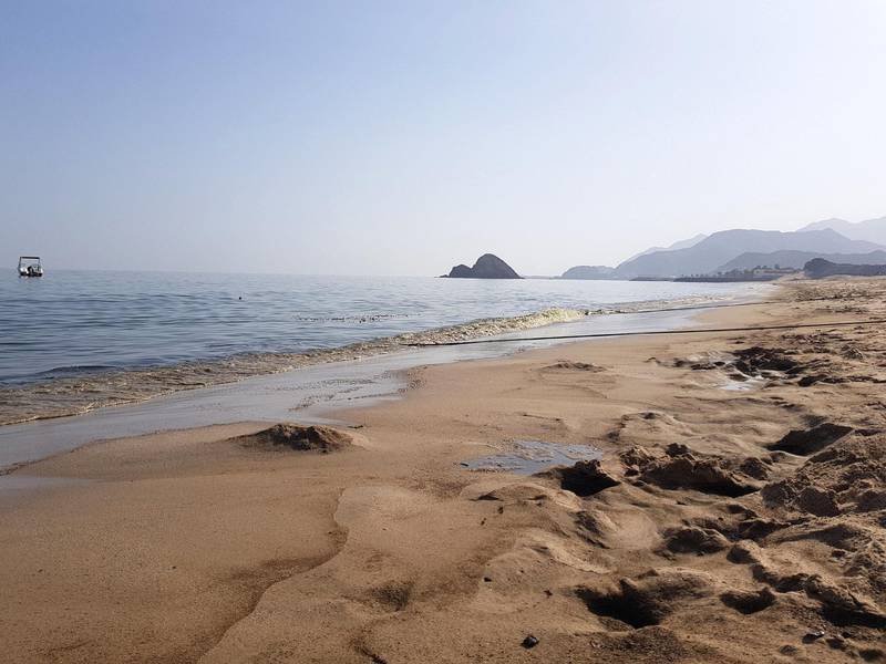 Oil washes onshore at the Miramar hotel from an oil spill out at sea in Aqah, Fujairah. Juman Jarallah / The National