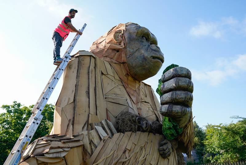 Dan McGavin, Design Director from Bakehouse Factory, unveiled a giant interactive gorilla sculpture 'Wilder' on Thursday, to mark the final opening weeks of Bristol Zoo Gardens. PA