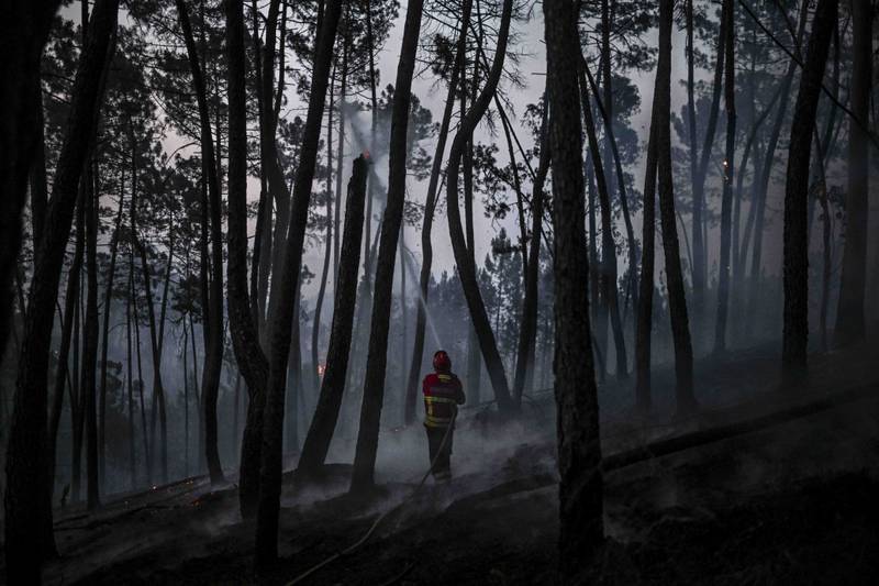 A firefighter works to extinguish a wildfire at Casais do Vento in Alvaiazere, Portugal. About 1,500 personnel have been mobilised to put out three wildfires raging for more than 48 hours in central and northern parts of the country. AFP