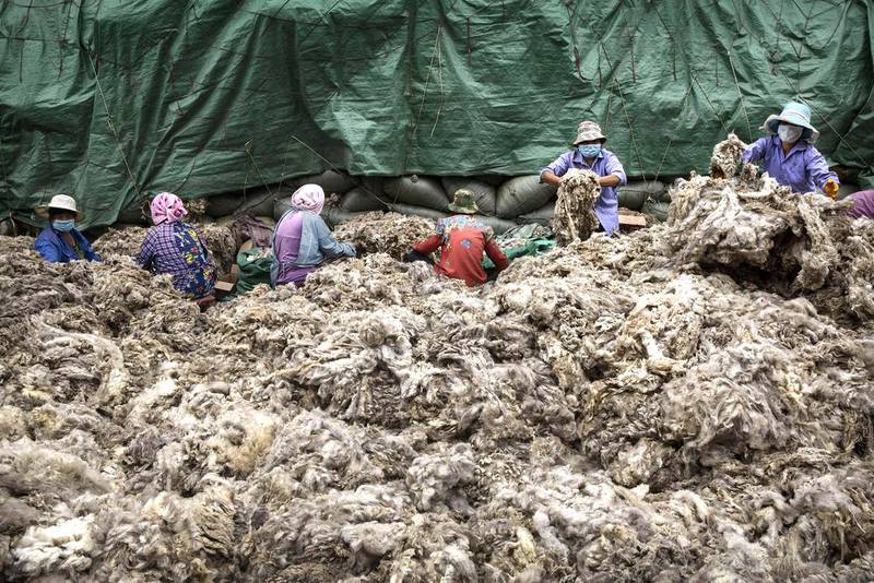 Workers sort sheep’s wool before it is processed and bleached at a factory near Zhangzhou, China. Kevin Frayer / Getty Images