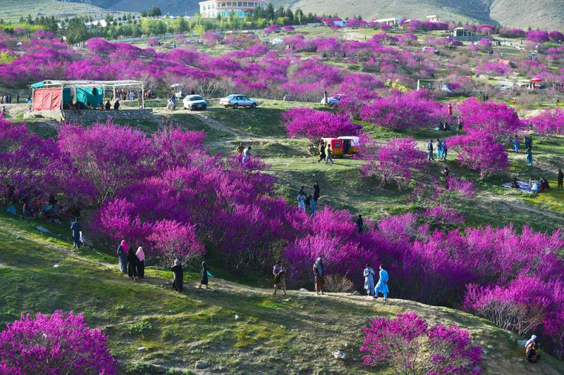 People visit the Gol Ghandi Park in the Charikar district of Afghanistan.  All photos: AFP