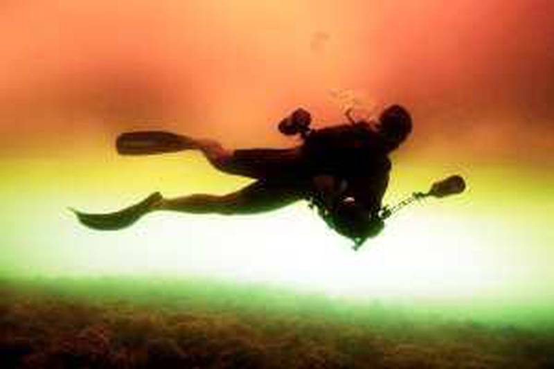 MARCH 12 2009, DIBBA, UAE. This undated handout photograph shows a diver swimming in water coloured by the recent 'red tide' in the sea around Dibba Island. Courtesy Jeff Collett. *** Local Caption ***  na13 mr red tide.jpg