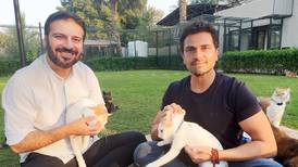 Stray animals and Ahmed Salim's mission to change how they're cared for in the Middle East