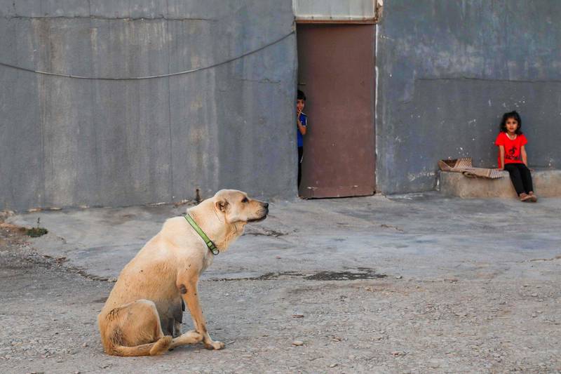 Children and a dog in Bahrka camp. Erbil grants the refugees residency permits which allow them to work and travel within the autonomous region, if they find a guarantor. However, Baghdad does not recognise their validity. AFP