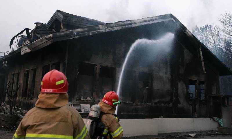 Firefighters try to put out a fire after houses were destroyed by a forest fire in Donghae. Yonhap / AFP