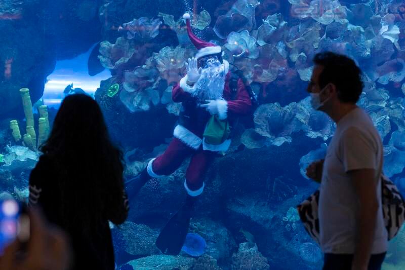 Santa Claus dived in the Dubai Aquarium at The Dubai Mall as part of Christmas celebrations in the UAE. All photos: Antonie Robertson / The National