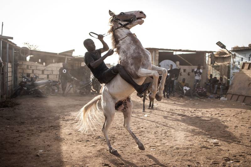 A jockey strives to control his horse in Ouagadougou, Burkina Faso. AFP