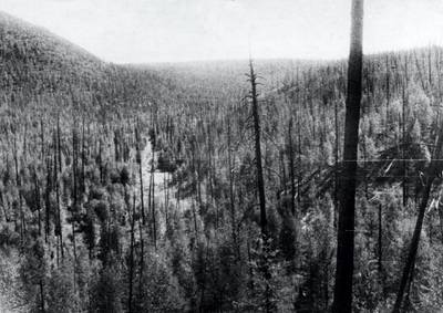 Tunguska meteorite, the valley of the churgima stream, 4km south of where the meteorite fell in 1908, the hills are covered with fallen and burnt trees and young growth, this picture was taken during professor leonid kulik's 1938 expedition to investigate the event. (Photo by: Sovfoto/Universal Images Group via Getty Images)