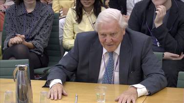 REFILE - CORRECTING BYLINE British naturalist David Attenborough speaks to a parliamentary committee on "Clean Growth Strategy and International Climate Change Targets" in London, Britain July 9, 2019 in this screen grab taken from video. Parliament TV/ via REUTERS