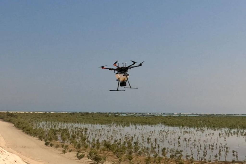 Abu Dhabi uses drones to plant one million mangrove seeds