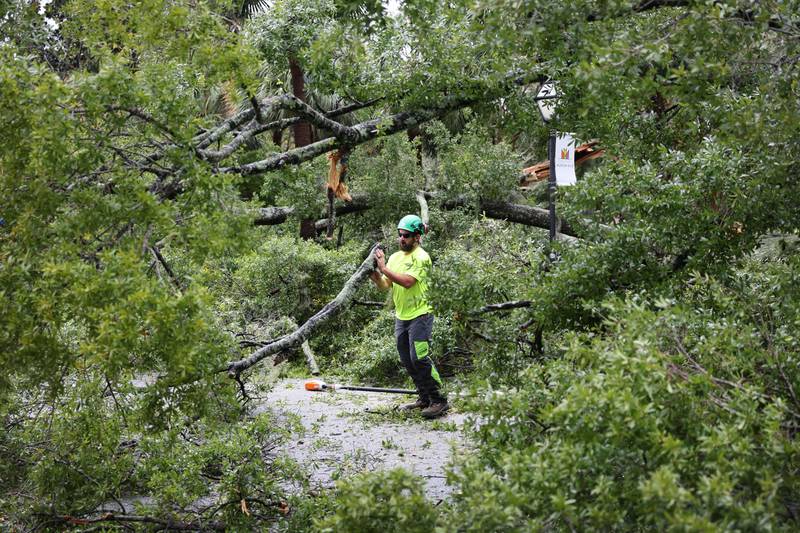 A worker clears a tree from Meeting Street after it was brought down during Hurricane Ian. Getty Images / AFP