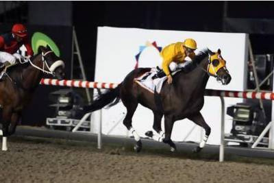 Kinsale King, seen here winning the Dubai Golden Shaheen on World Cup nightin 2010, has had a year off from the track. Andrew Henderson / The National