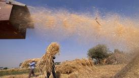 As Ukraine war rages, Egypt races to secure wheat imports amid global food crisis