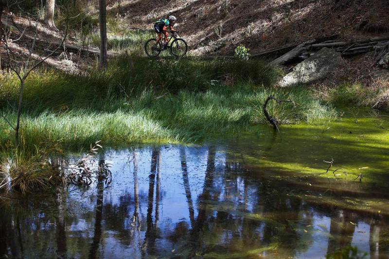 A cyclist competes during Stage 2 of the Absa Cape Epic mountain bike race on Tuesday in Elgin, South Africa. Nic Bothma / EPA