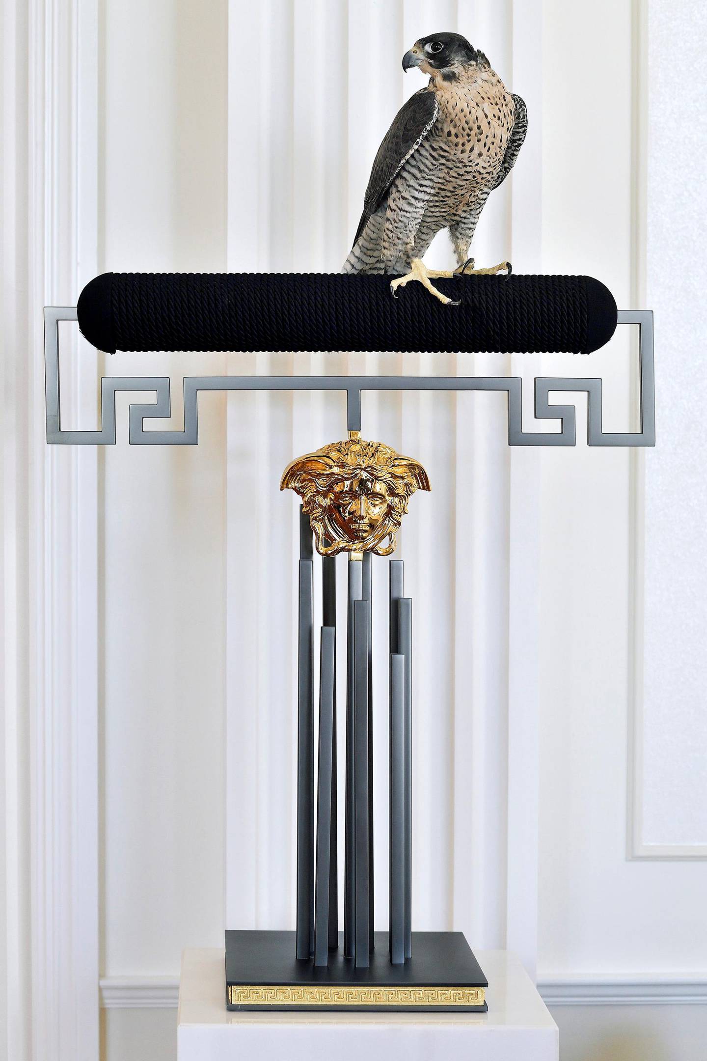 Falcon at Palazzo Versace dubai. Courtesy Palazzo Versace Dubai
