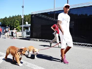 Lewis Hamilton with his dogs Roscoe and Coco in Belgium in 2016. Getty